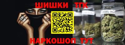 молекула духа Гатчина
