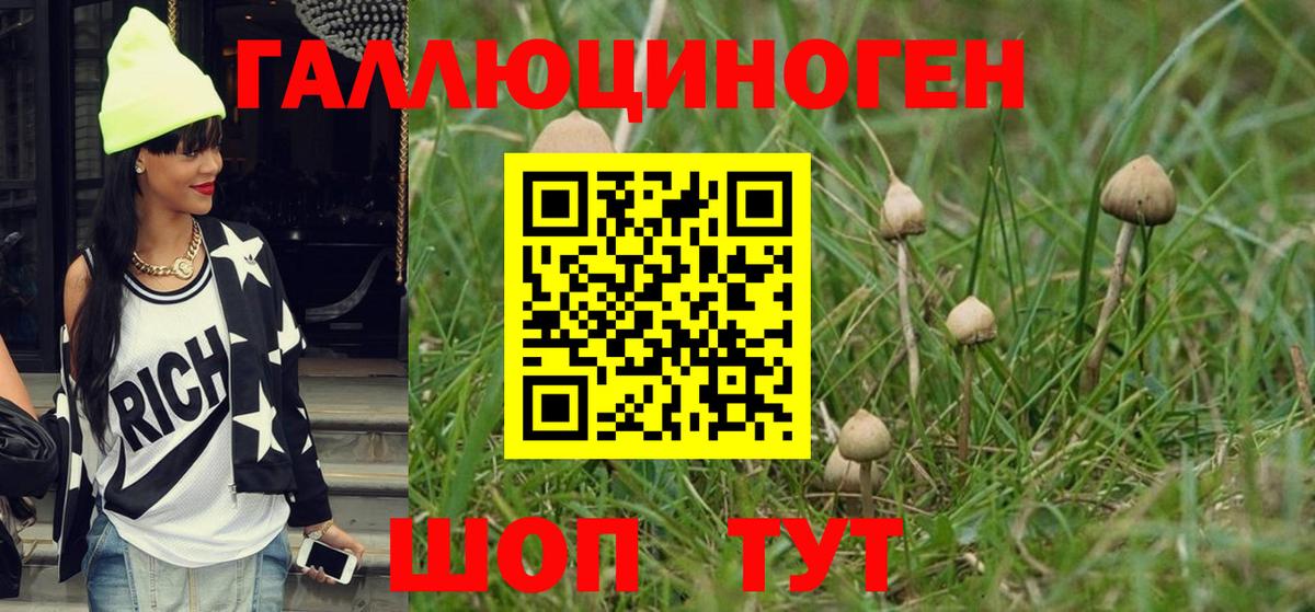 цены   Алушта  Псилоцибиновые грибы MAGIC MUSHROOMS  Псилоцибиновые грибы Psilocybine cubensis 