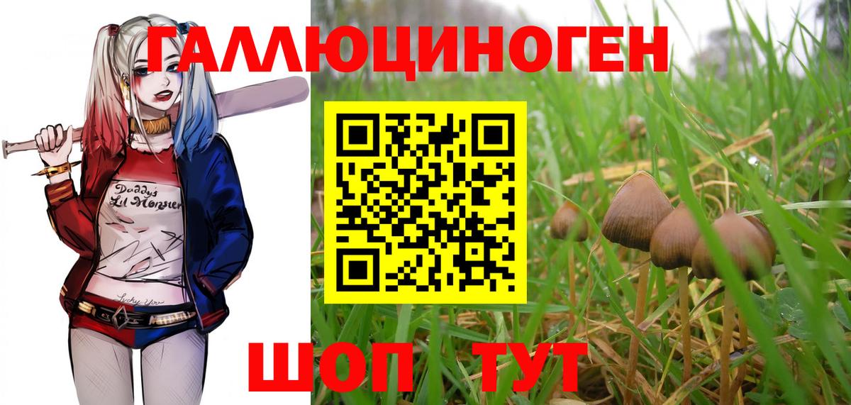 Алушта  купить  цена  Вход с VPN  Псилоцибиновые грибы прущие грибы 
