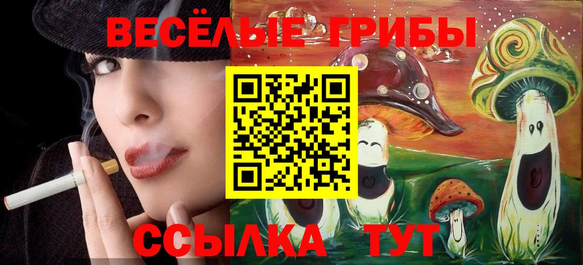 Галлюциногенные грибы Psilocybine cubensis Алушта
