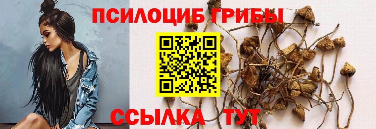 Галлюциногенные грибы Psilocybine cubensis Алушта