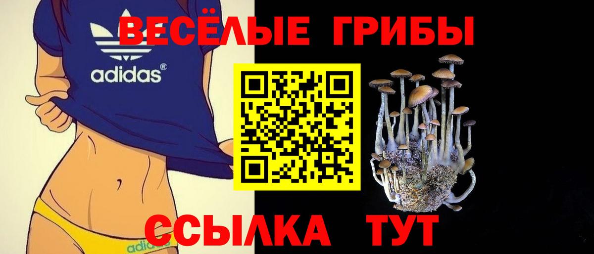 Алушта  Псилоцибиновые грибы мицелий  купить  цена  Вход с VPN 