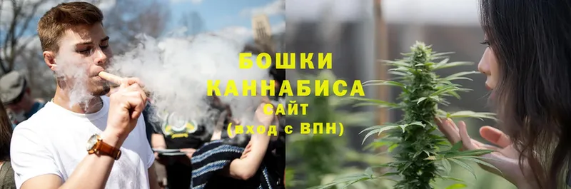 Бошки марихуана Ganja  закладка  Алушта 